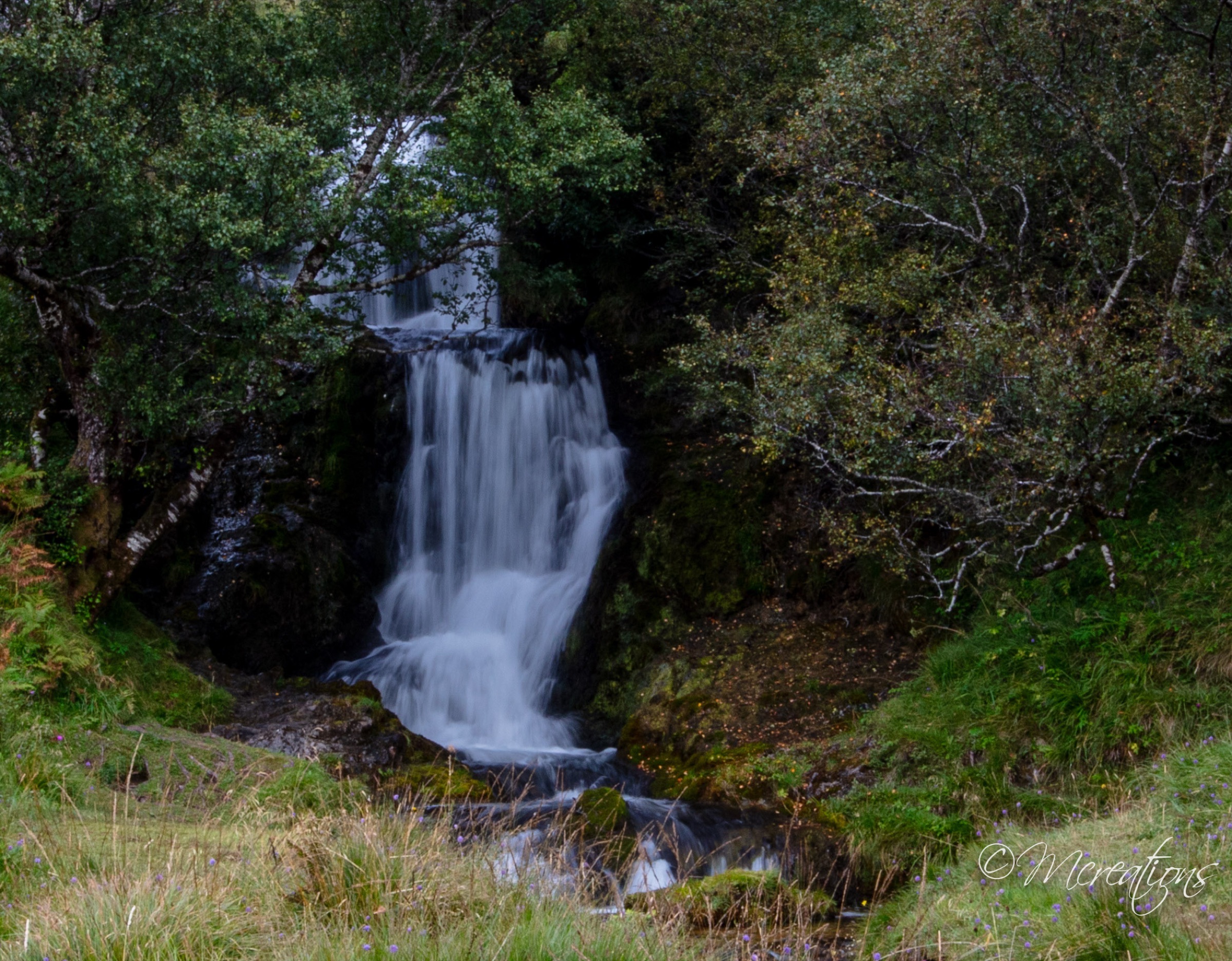 MCreations gallery photograph 5