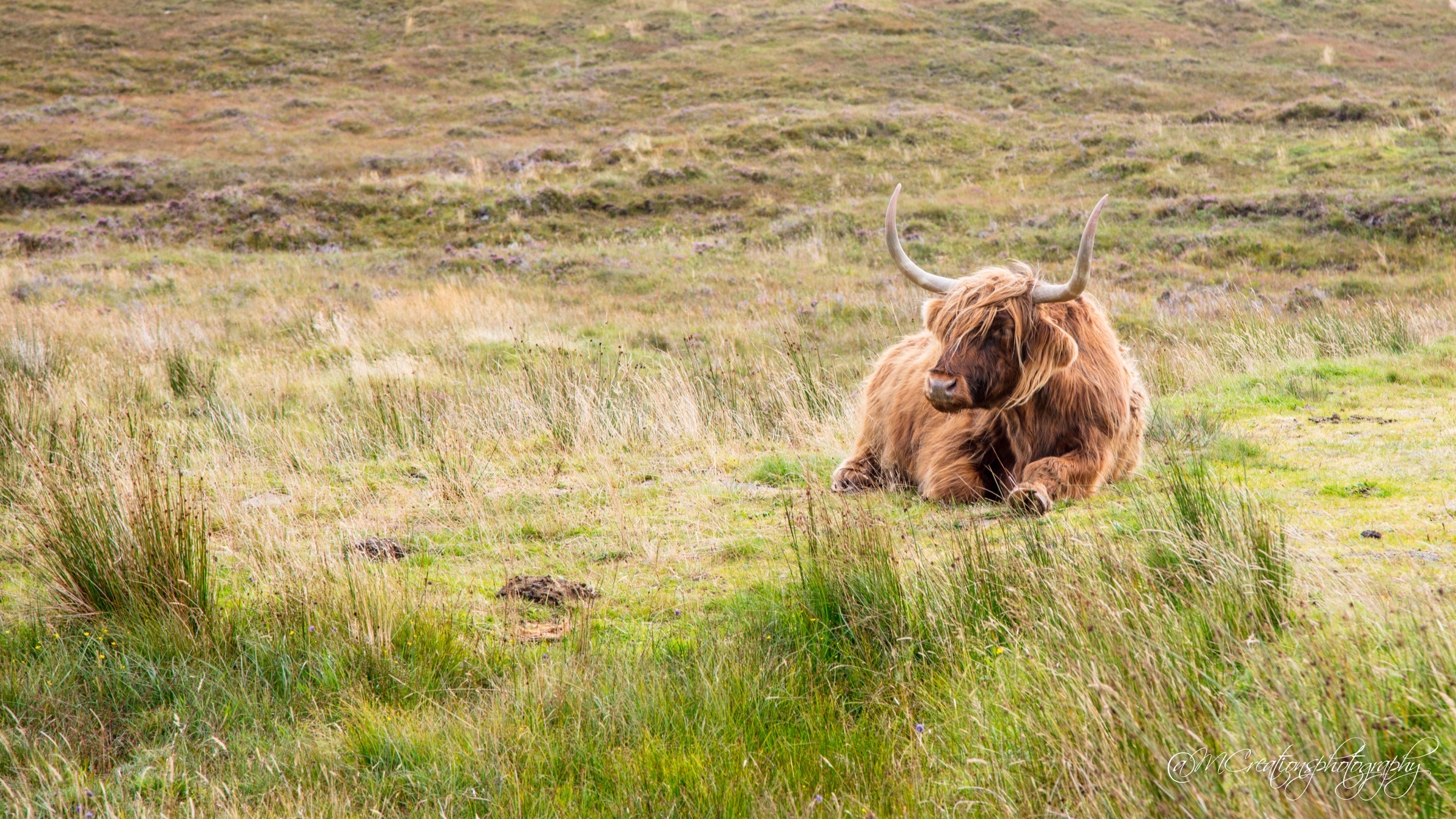 Scotland photograph 11