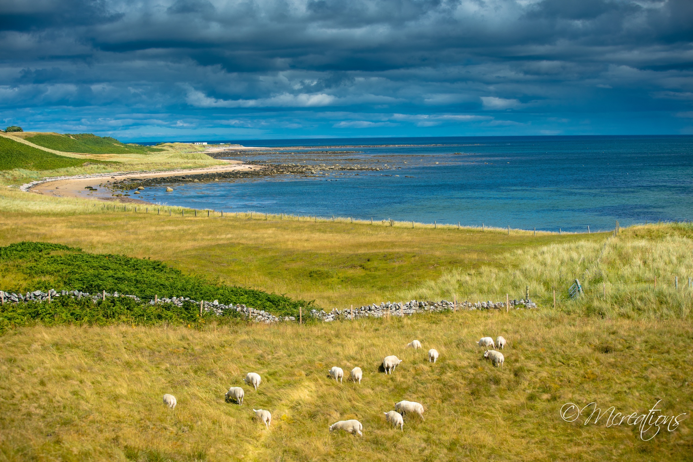 Scotland photograph 14